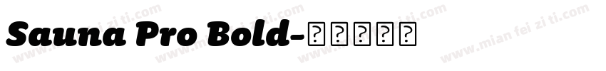 Sauna Pro Bold字体转换